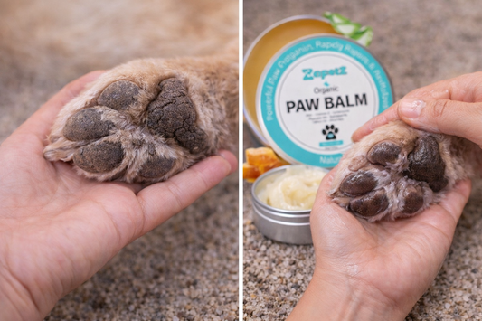 Dog Paw Balm – Relieves Dry & Cracked Paws Fast