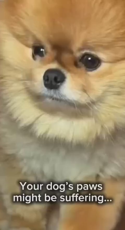 Dog Paw Balm – Relieves Dry & Cracked Paws Fast