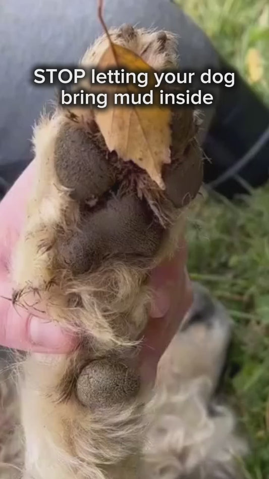 Dog Paw Cleaner – Stop Muddy Paws Instantly