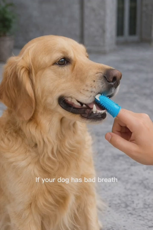 Dog Finger Toothbrush – Easy Dental Cleaning at Home (2-Pack)