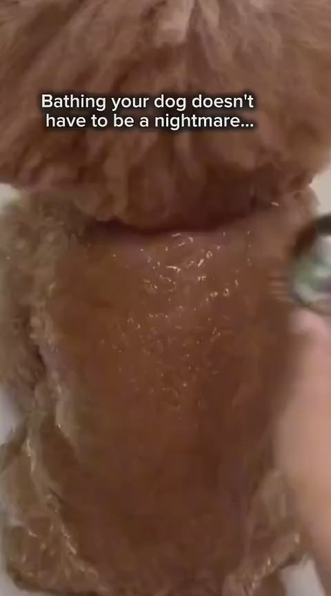 Dog Bath Brush™ | Wash Your Dog in Half the Time