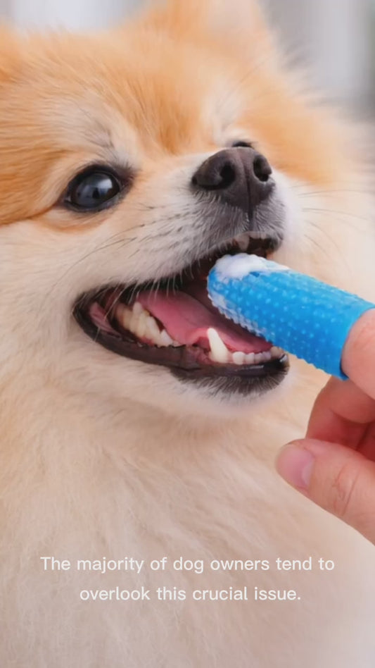 Dog Finger Toothbrush – Easy Dental Cleaning at Home (2-Pack)